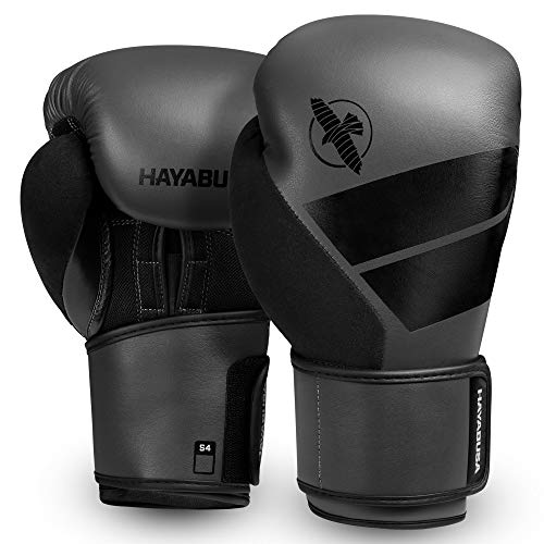 Hayabusa S4